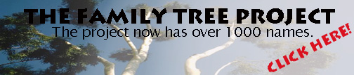 tree_bnr.jpg